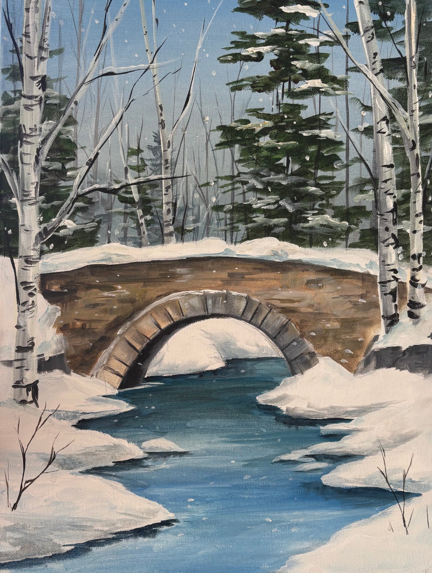 Art Class -Friday Evening Art Escape, February 27th, 6:30pm - 9:30pm ( Acrylic )