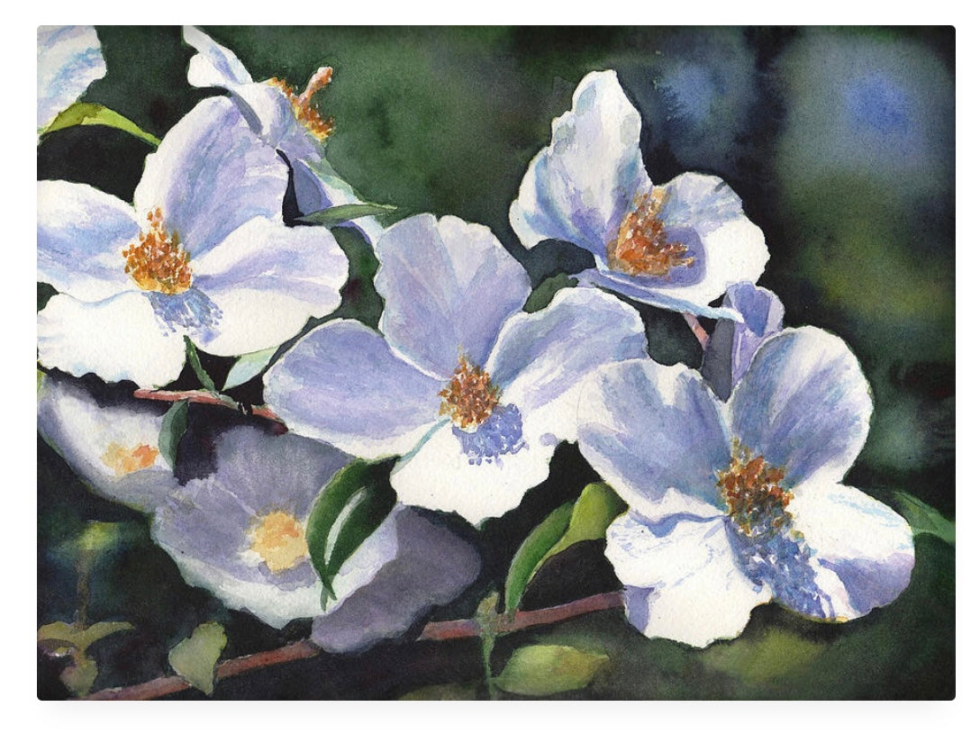 Art Class - Friday Afternoon Art Escape, April 3rd, 6:30pm - 9:30pm (watercolor)