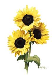 Art Class - Wednesday Art Escape, November 26th, 11:00pm - 2:00pm (Watercolor)
